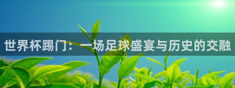 今年世界杯:世界杯踢门:一场足球盛宴与历史的交融