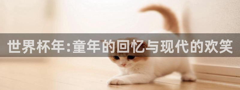 足球世界杯赛程:世界杯年:童年的回忆与现代的欢笑