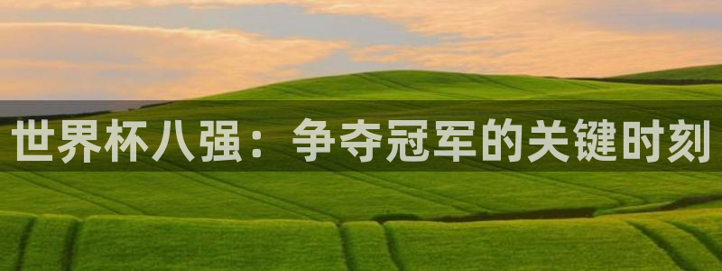 欧洲区世界杯预选赛:世界杯八强:争夺冠军的关键时刻