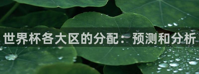欧洲世界杯预选赛:世界杯各大区的分配:预测和分析