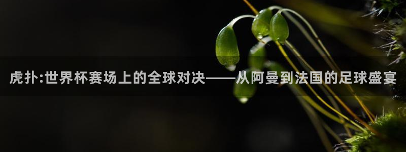 世界杯直播:虎扑:世界杯赛场上的全球对决——从阿曼到法国的足球盛宴