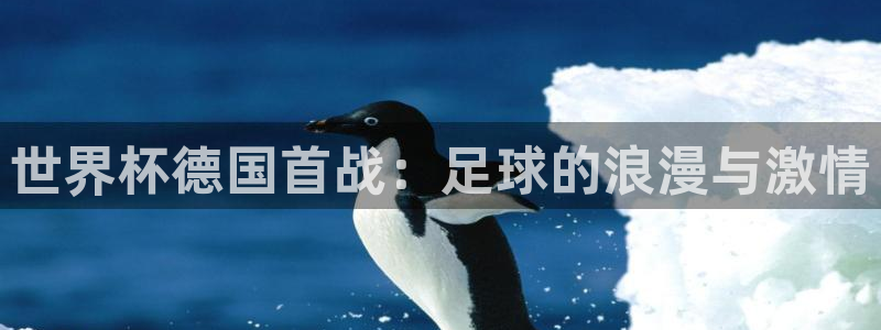 世界杯葡萄牙赛程:世界杯德国首战:足球的浪漫与激情
