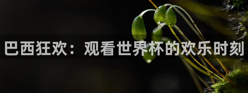 法国杯2026赛程表:巴西狂欢:观看世界杯的欢乐时刻