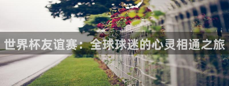 世界杯小组赛赛程:世界杯友谊赛:全球球迷的心灵相通之旅
