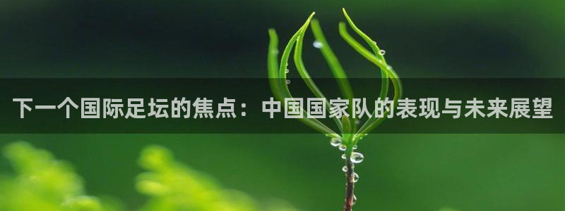 2026足球世界杯:下一个国际足坛的焦点:中国国家队的表现与未来展望