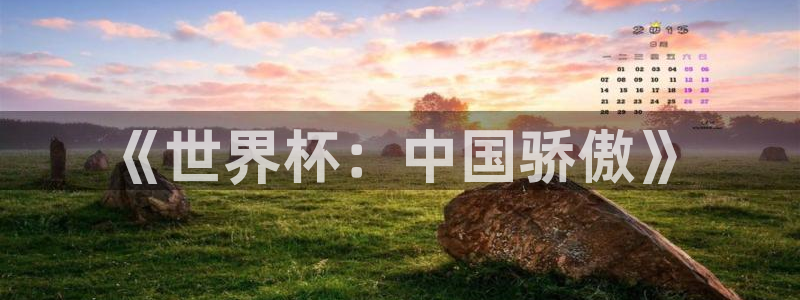 世界杯欧洲预选赛赛程:《世界杯:中国骄傲》