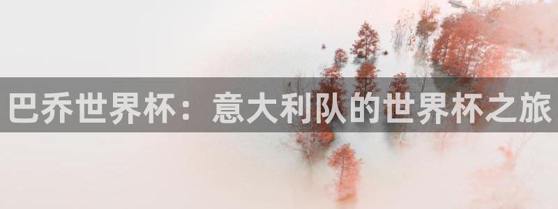 世界杯女足直播:巴乔世界杯:意大利队的世界杯之旅