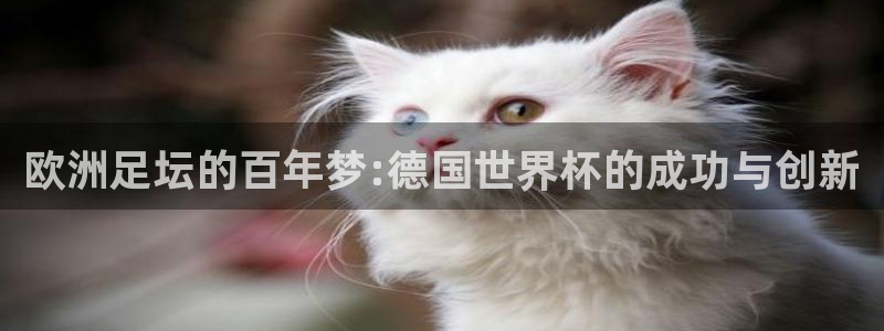 世界杯2026赛程时间表格:欧洲足坛的百年梦:德国世界杯的成功与创新